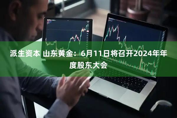 派生资本 山东黄金：6月11日将召开2024年年度股东大会