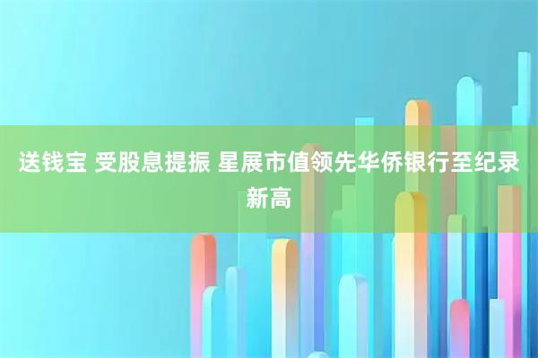 送钱宝 受股息提振 星展市值领先华侨银行至纪录新高
