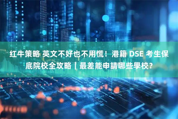 红牛策略 英文不好也不用慌！港籍 DSE 考生保底院校全攻略｜最差能申請哪些學校？