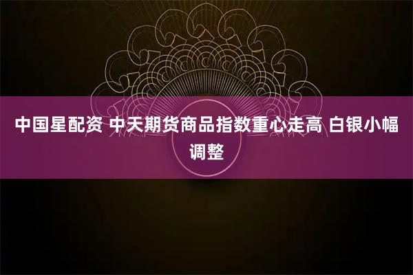 中国星配资 中天期货商品指数重心走高 白银小幅调整